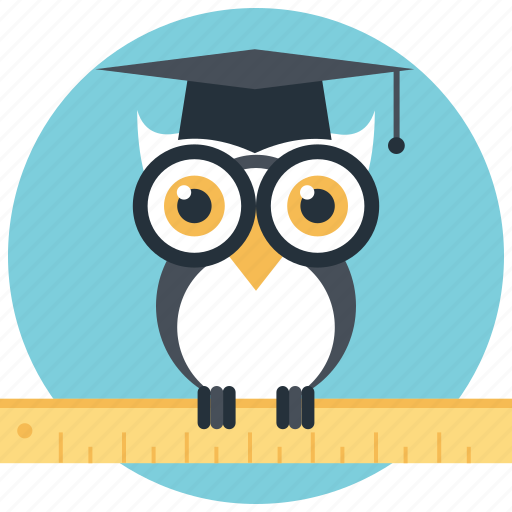 Graduate owl, owl education, owl teacher, wisdom, wise owl icon - Download on Iconfinder