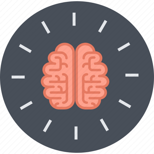 Brain, education, idea, learn, round, think icon - Download on Iconfinder
