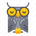 bird, education, owl, wisdom