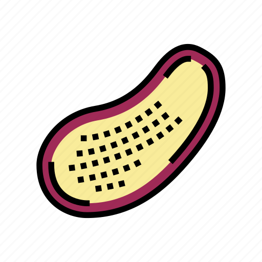 Half, eggplant, vitamin, bio, vegetable, cut icon - Download on Iconfinder
