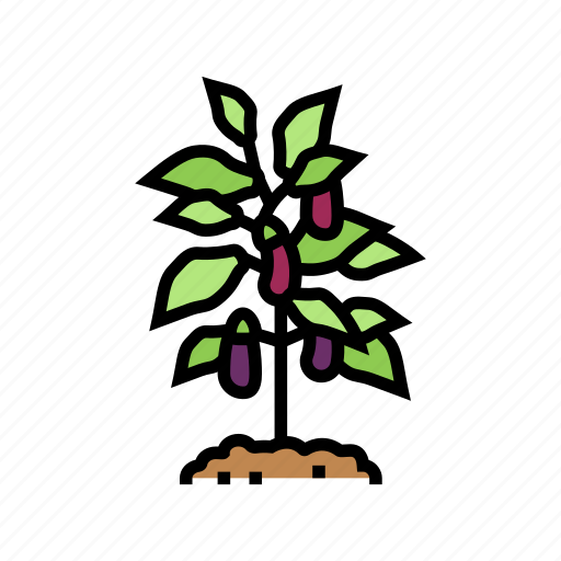 Plant, eggplant, vitamin, bio, vegetable, cut icon - Download on Iconfinder