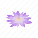 egypt, flower, isometric, lily, nature, plant, waterlily