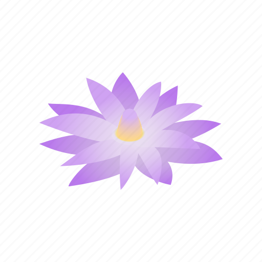 Egypt, flower, isometric, lily, nature, plant, waterlily icon - Download on Iconfinder