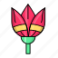egyptian lotus, national flower, blossom, flower, nature, leaf 
