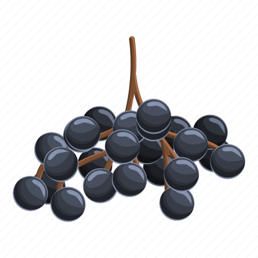 Mature, elderberry, food, nature icon - Download on Iconfinder