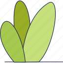 small, leaf, leaves, plant, nature