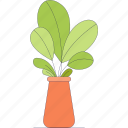 potted, plants, pot, plant, nature, leaves, ecology, agriculture