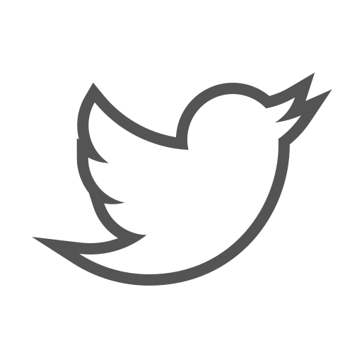 Twitter Bird Logo White