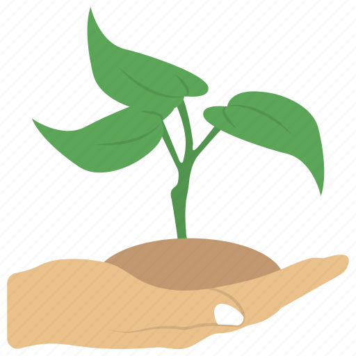 Cultivation, development, growing, growing plant, growth icon - Download on Iconfinder