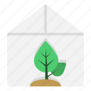 green, house, eco, home, growing