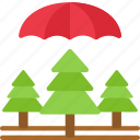 umbrella, over, forrest, eco, friendly, protected, insured