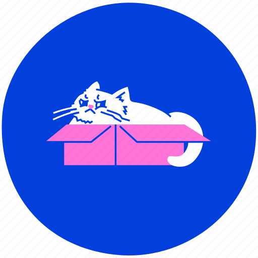 Angry, cat, seating, box, shipping, take away, delivery illustration - Download on Iconfinder