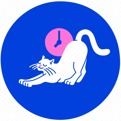 Yoga, cat, wake, morning, waiting, workout, time illustration - Download on Iconfinder