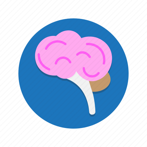 Body, brain, head, human, mind, thought icon - Download on Iconfinder