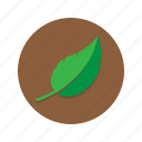 habitat, leaf, leaves, nature, plant, plants, tree