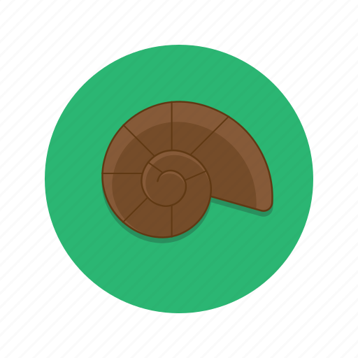 Shell, snail icon - Download on Iconfinder on Iconfinder