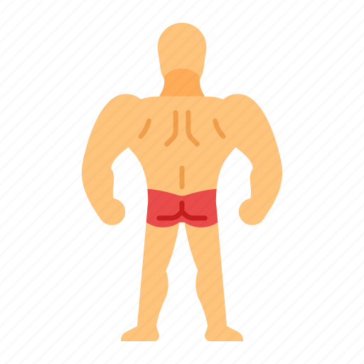 Glutes, muscle, bodybuilder, anatomy, training, bodybuilding, gluteal muscles icon - Download on Iconfinder