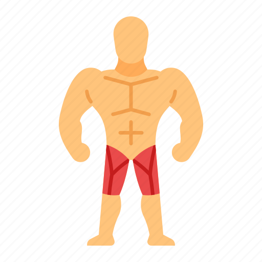 Quads, muscle, quadriceps femoris, anatomy, training, bodybuilding, strength icon - Download on Iconfinder