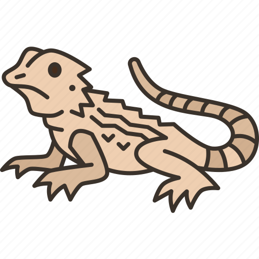 Bearded, dragon, lizard, animal, wildlife icon - Download on Iconfinder