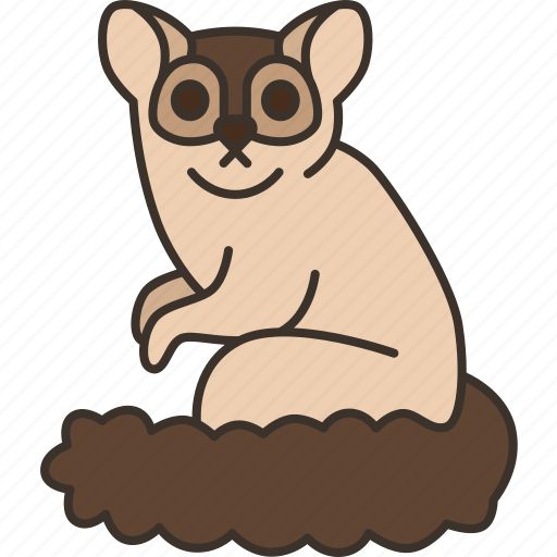 Bushbaby, galago, primates, mammal, nocturnal icon - Download on Iconfinder