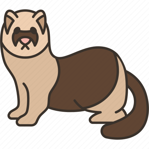 Ferret, weasel, pet, animal, wildlife icon - Download on Iconfinder