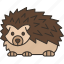 hedgehog, porcupine, spiky, pet, animal 