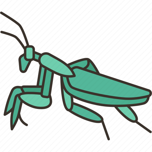 Mantis, praying, insect, invertebrate, animal icon - Download on Iconfinder