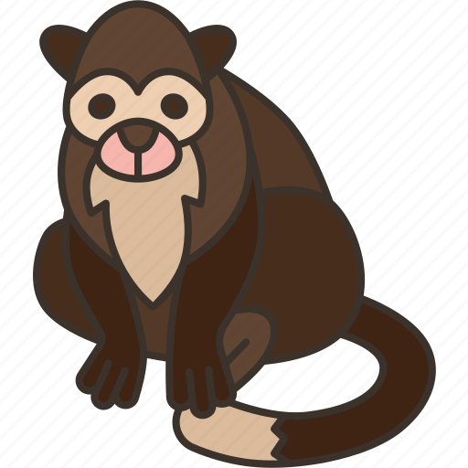 Monkey, squirrel, primate, jungle, wildlife icon - Download on Iconfinder