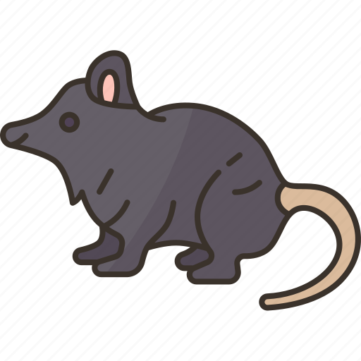Opossum, short, tailed, marsupial, wildlife icon - Download on Iconfinder