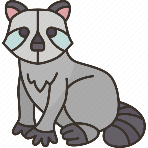 Raccoon, mammal, vertebrate, animal, wild icon - Download on Iconfinder