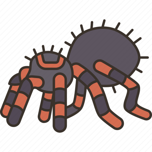 Spider, tarantulas, arachnid, invertebrate, exotic icon - Download on Iconfinder