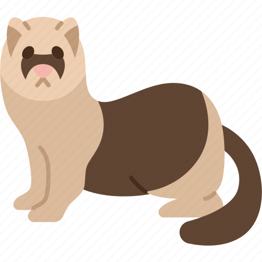 Ferret, weasel, pet, animal, wildlife icon - Download on Iconfinder