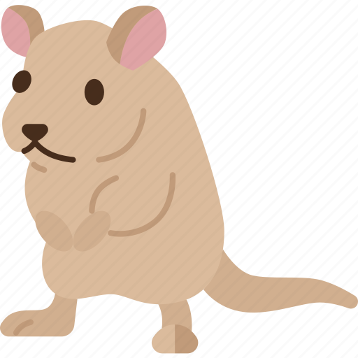 Gerbil, rodent, pet, furry, animal icon - Download on Iconfinder