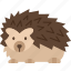hedgehog, porcupine, spiky, pet, animal 