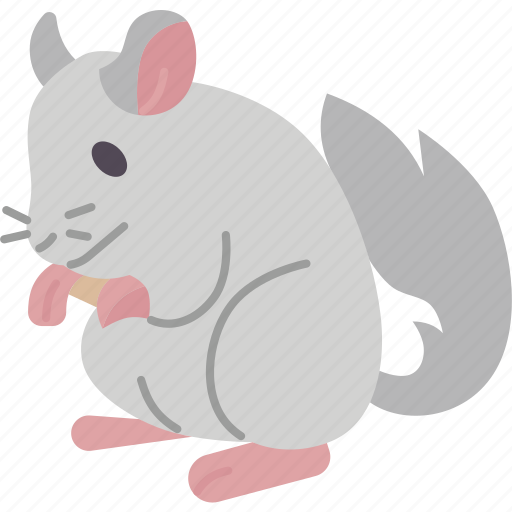 Chinchilla, rodent, pet, mammal, animal icon - Download on Iconfinder