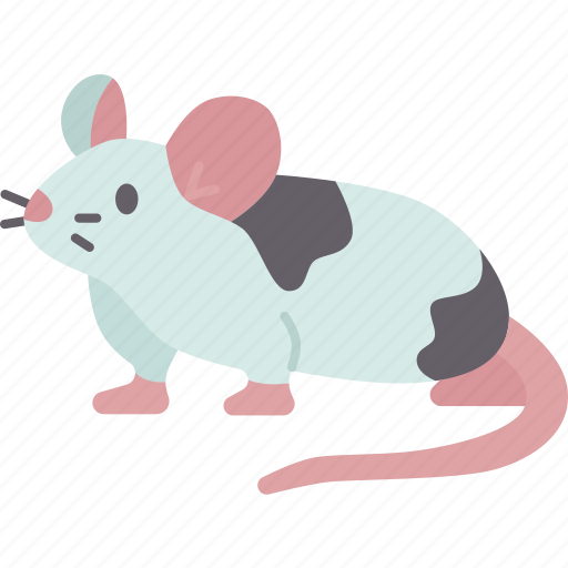 Mouse, rodent, pest, domestic, animal icon - Download on Iconfinder