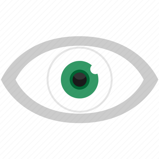 Eye, search, vision, visual, find, view icon - Download on Iconfinder
