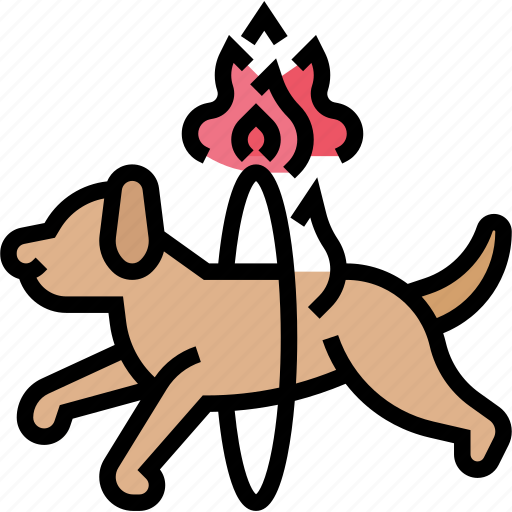 Ring, fire, circus, animal, show icon - Download on Iconfinder
