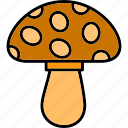 mushroom, mushrooms, fungus, fungi, vegan