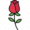 rose, flower, love, nature, plant, valentine