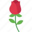 rose, flower, love, nature, plant, valentine, day 