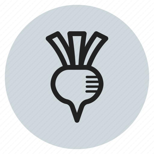 Fall, vegetables, fruits, beets, chioggia, roots icon - Download on Iconfinder