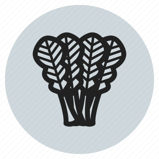 Fall, vegetables, fruits, spinach, chard, leaf, kale icon - Download on Iconfinder