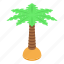 beach, cartoon, fruit, isometric, palm, silhouette, tree 