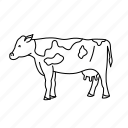 animal, cow, farm, milk