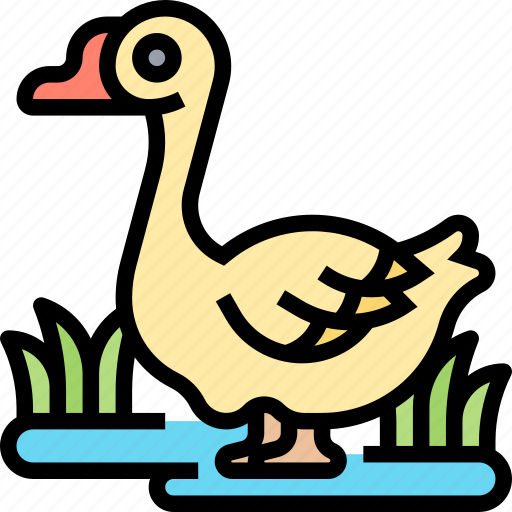 Goose, livestock, poultry, farm, domestic icon - Download on Iconfinder