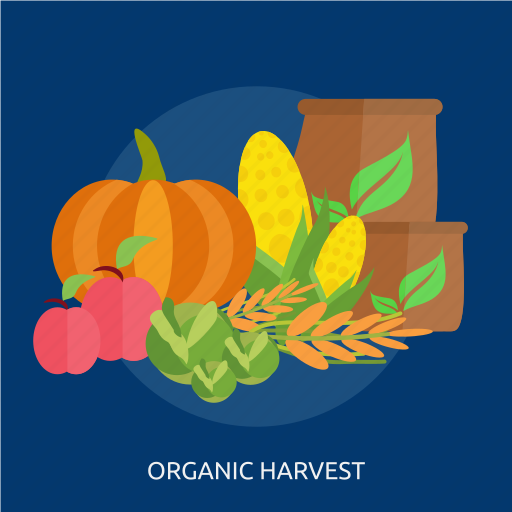 Agriculture, cabbage, corn, harvest, organic, pumpkin, vegetable icon - Download on Iconfinder