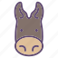 animal, donkey, farm, head 