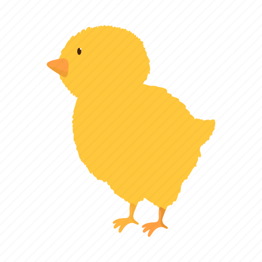 Animal, bird, chicken, farm, pet icon - Download on Iconfinder