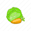 cabbage, carrot, cartoon, farm, food, green, vegetable